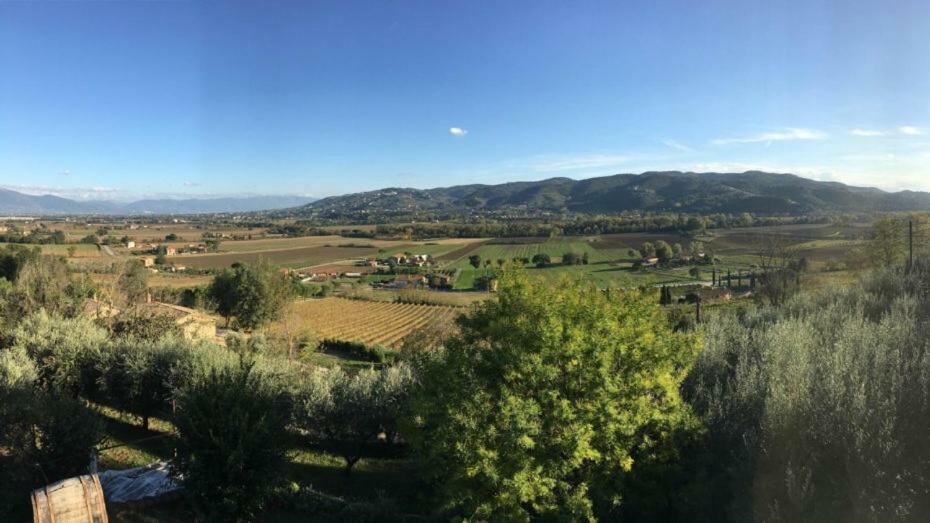 Agriturismo Wine Casale Villa Chiara Torgiano Bagian luar foto